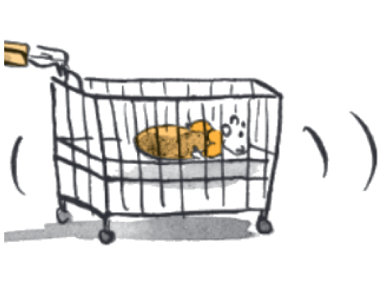 Baby schläft im Bettchen.