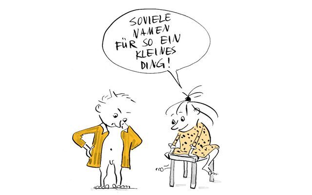 Illustration Junge und Mädchen reden über den Penis des Jungen