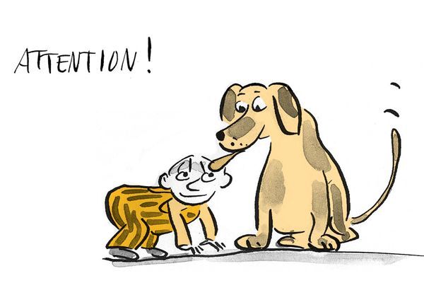 Illustration Attention aux chiens avant de les caresser