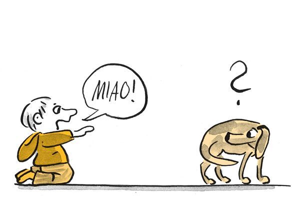 Il bambino allunga le braccia verso il cane