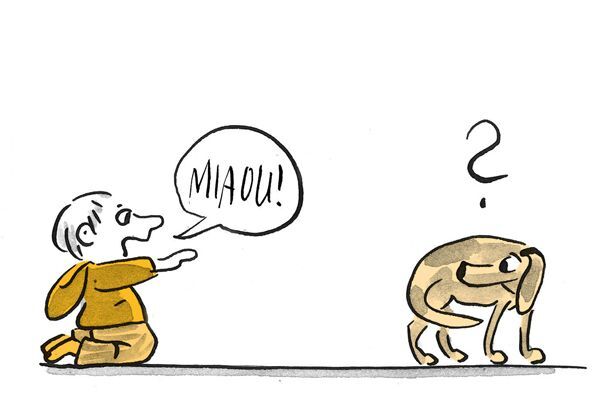 L'enfant tend les bras vers le chien