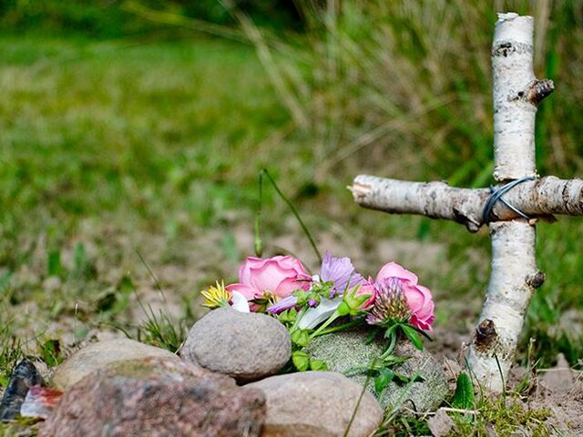 Una croce e dei fiori su un prato ornano la tomba di un animale da compagnia.
