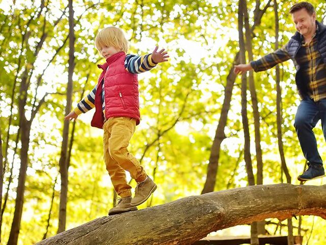 Un bimbo cerca di mantenere l’equilibrio sul ramo di un albero